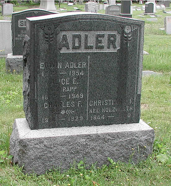 Adler
