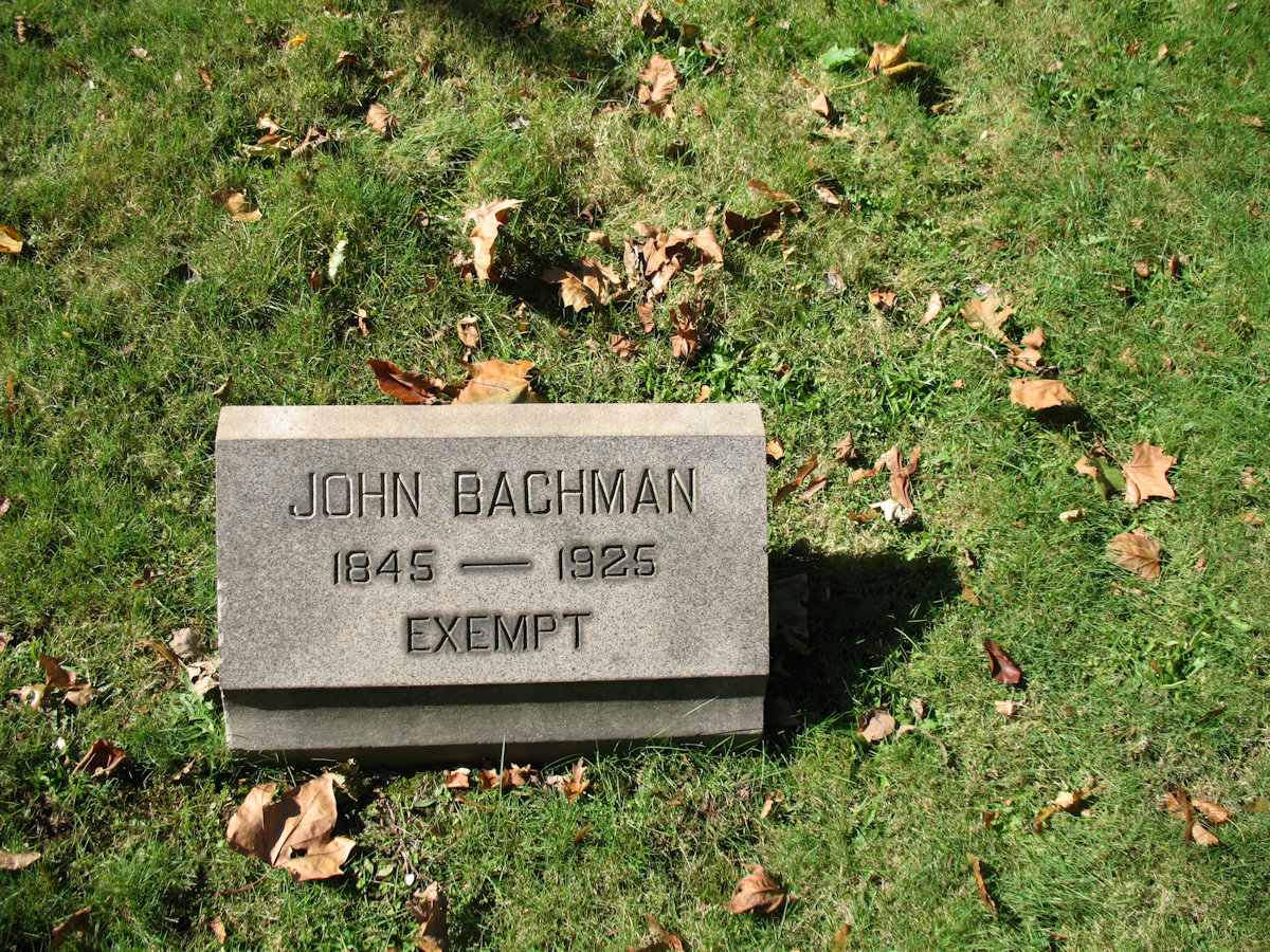 Bachman, John
