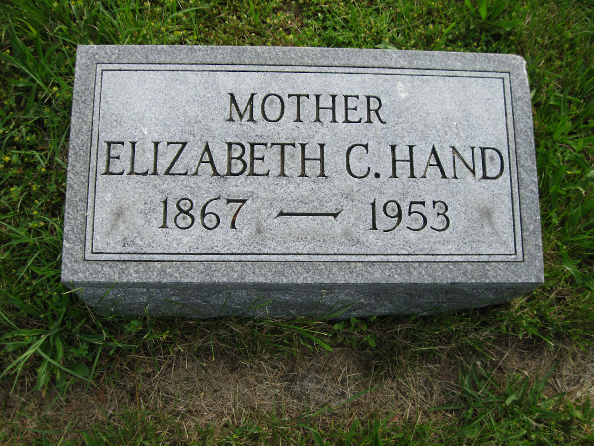 Hand, Elizabeth
