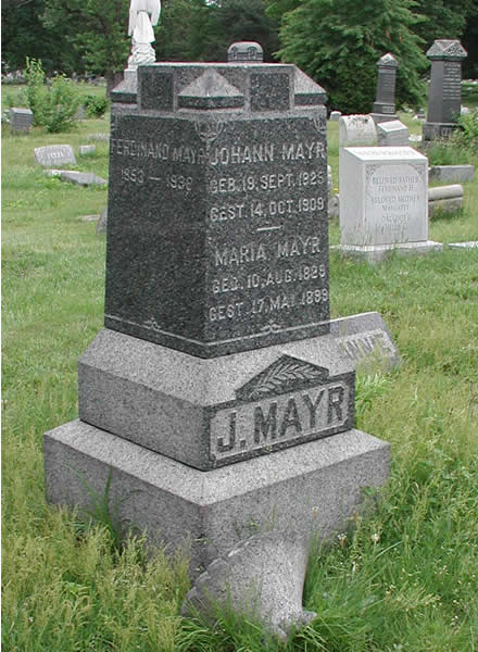 Mayr
