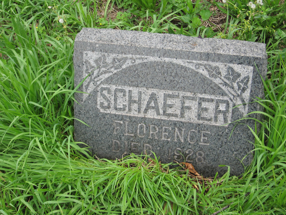 Schaefer
Photo from Roger Reed
