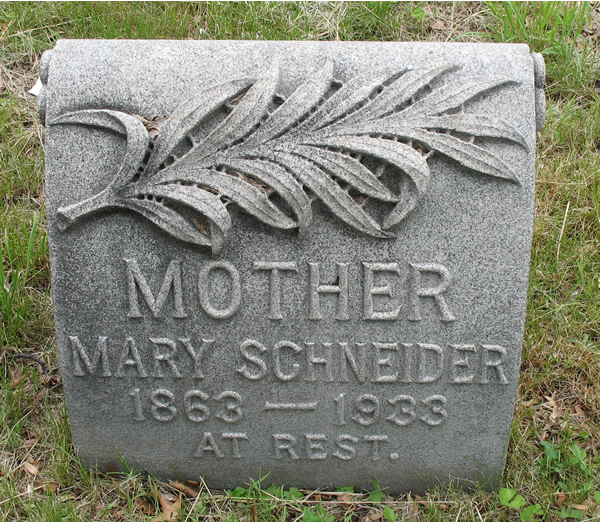 Schneider
