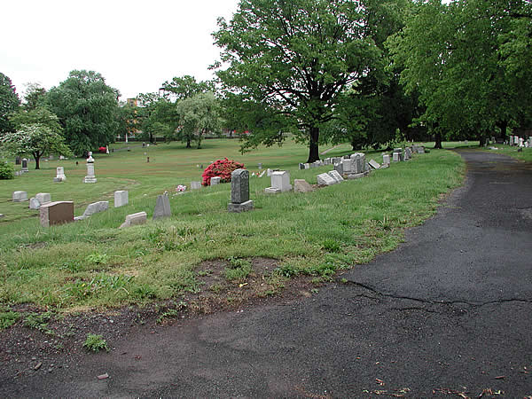 Section F
