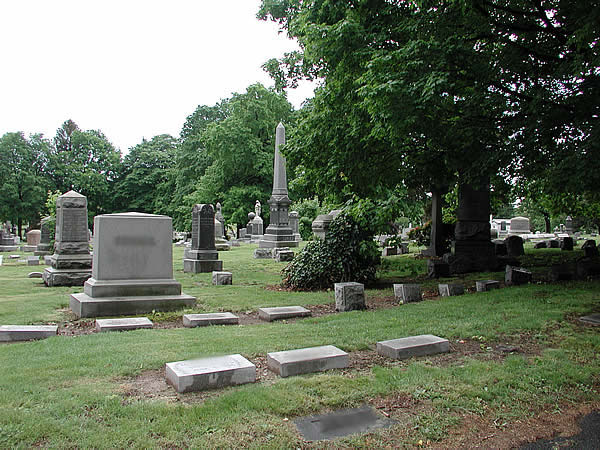 Section T
