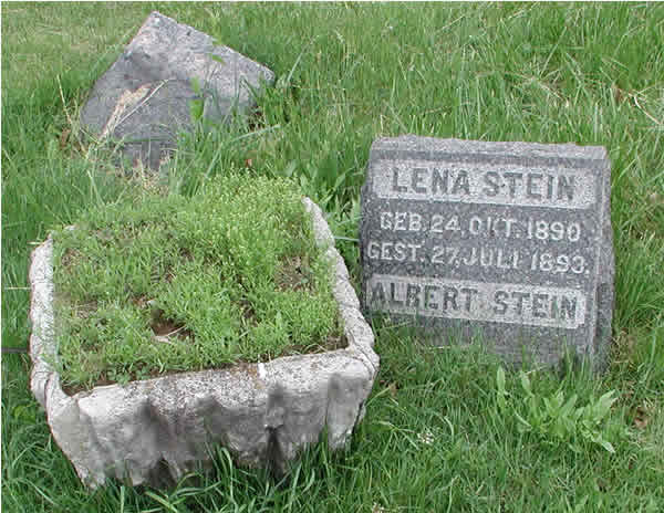 Stein
