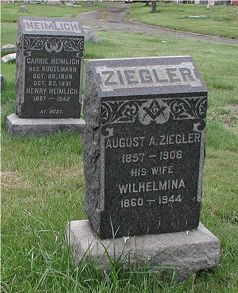 Ziegler
